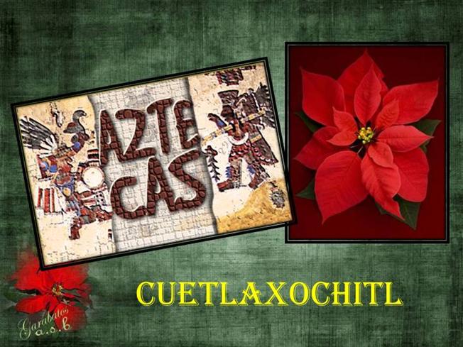 2022148_635226066450095000